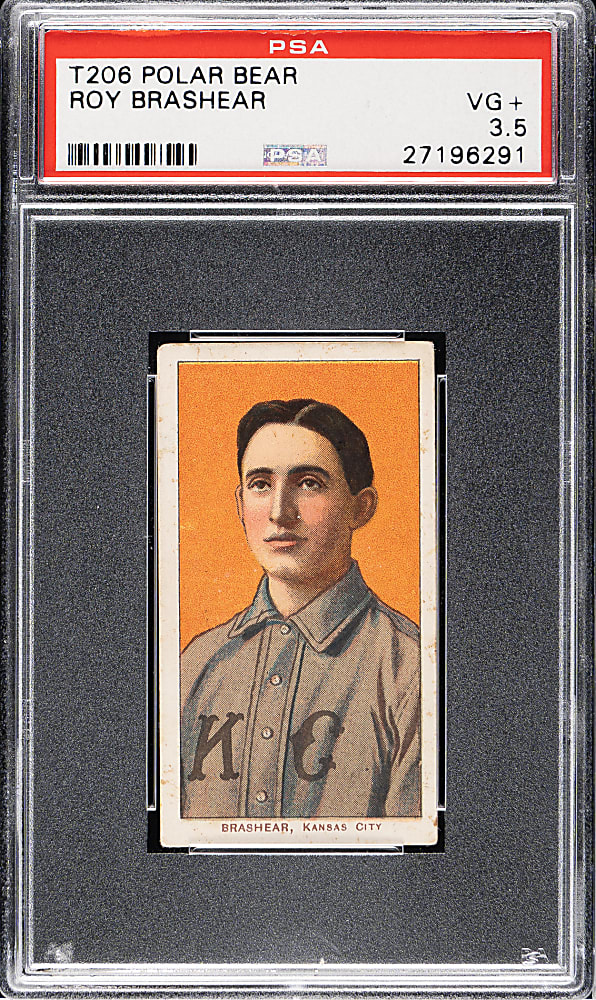 1909-1911 T206 White Border Roy Brashear PSA VG+ 3.5 - Polar Bear Back