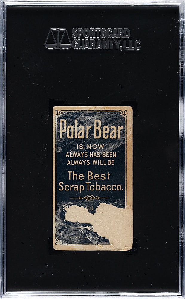 1909-1911 T206 White Border Lou Fiene Portrait SGC POOR 1 - Polar Bear Back