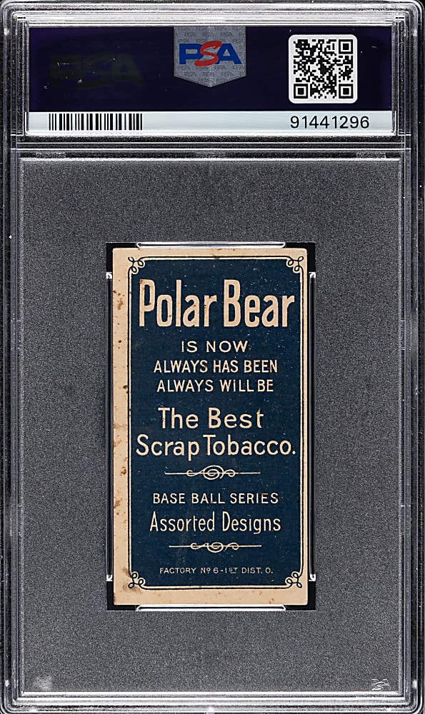 1909-1911 T206 White Border Dolly Gray PSA VG 3 - Polar Bear Back