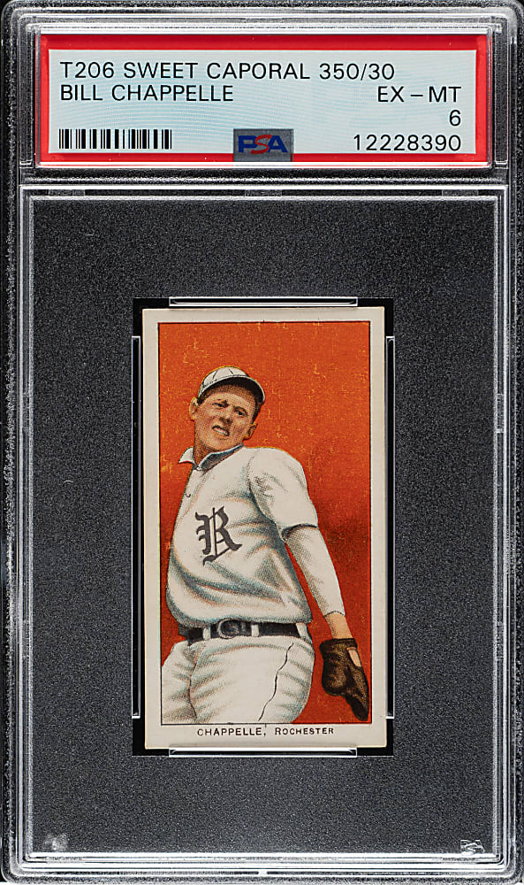 1909-1911 T206 White Border Bill Chappelle PSA EX-MT 6