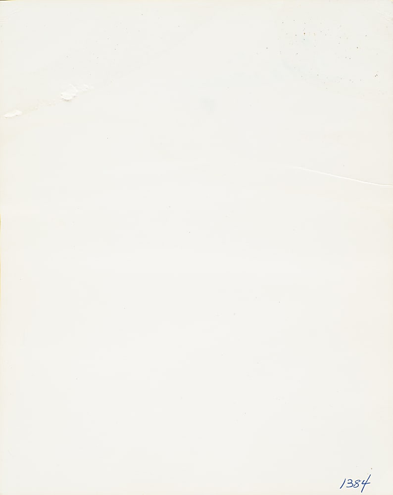 Ted Williams Signed Photograph - JSA