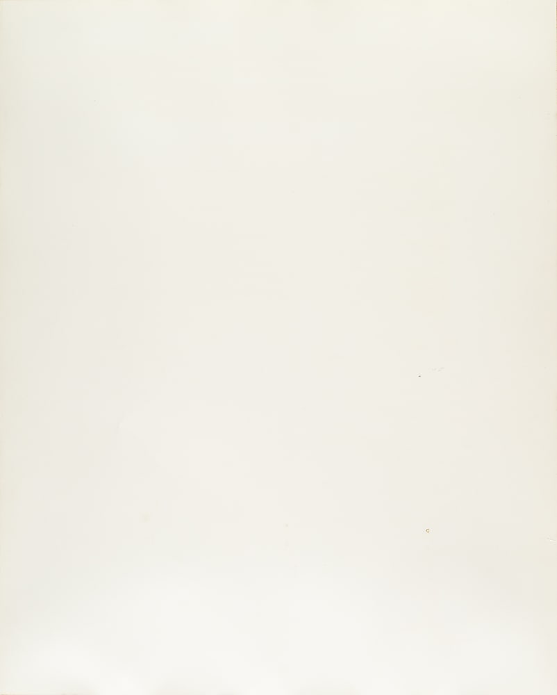 Larry Bird Signed Photograph - JSA