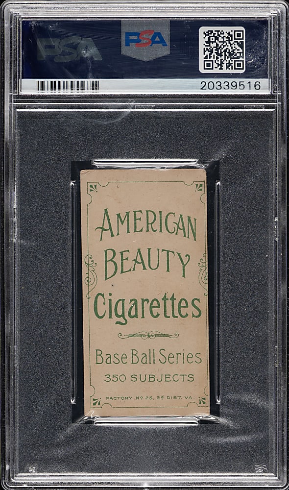 1909-1911 T206 White Border Jack Hayden PSA VG+ 3.5 - American Beauty 350 Back