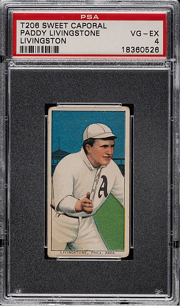 1909-1911 T206 White Border Paddy Livingstone PSA VG-EX 4