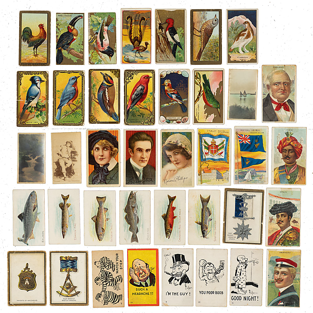 1910-Era Nonsport "T" Card Collection (788) Including "Bird Series," "Fish Series," and "Types of Nations"