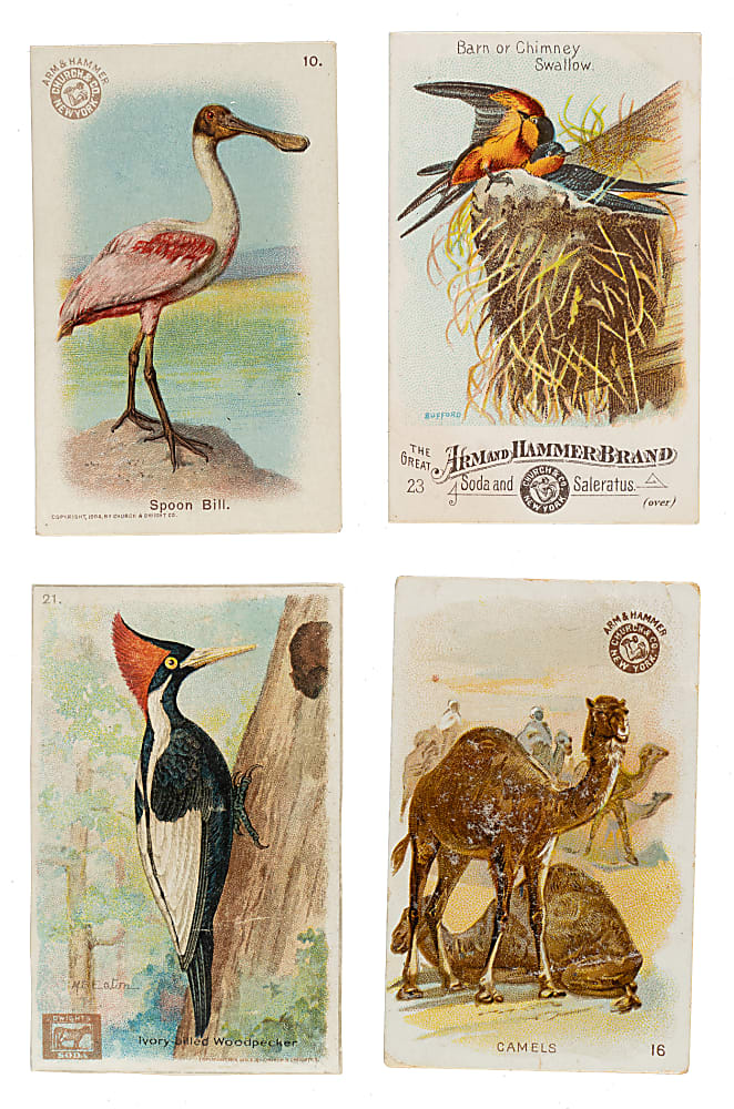 1888 to 1938 Arm & Hammer "Soda Cards" Nonsport Collection (436) Including Five Complete Sets