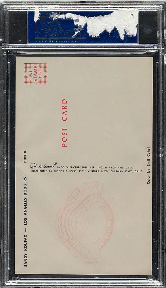 1962-1965 Los Angeles Dodgers Postcard #50318 Sandy Koufax PSA NM-MT+ 8.5