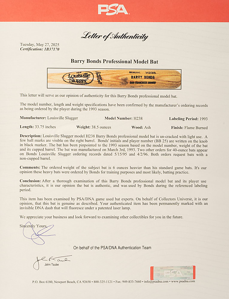 1993 Barry Bonds San Francisco Giants Pro-Model (Batting Practice) Bat - PSA/DNA