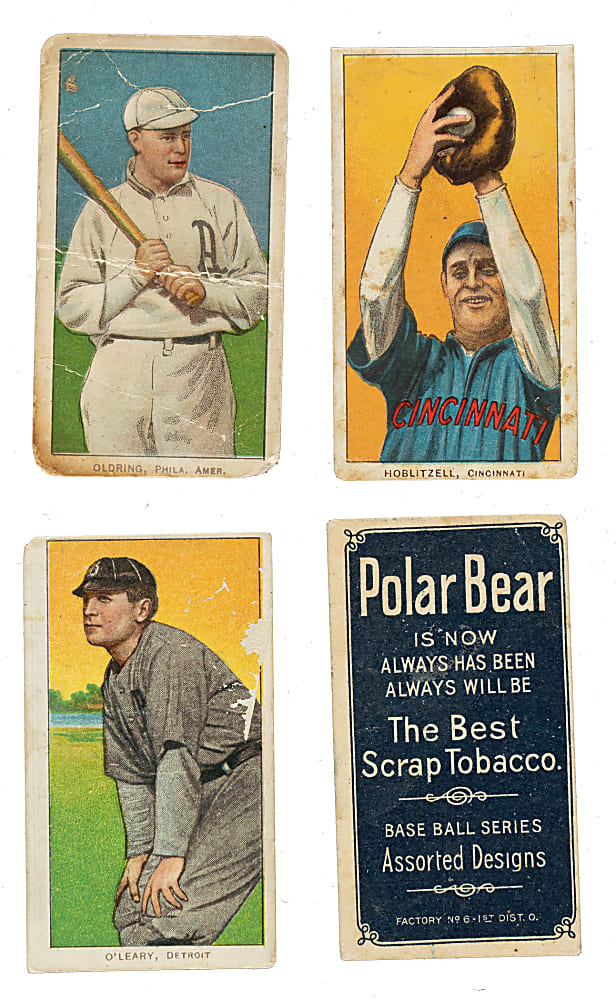 1909-1911 T206 White Border Collection (20) - All Polar Bear Backs!
