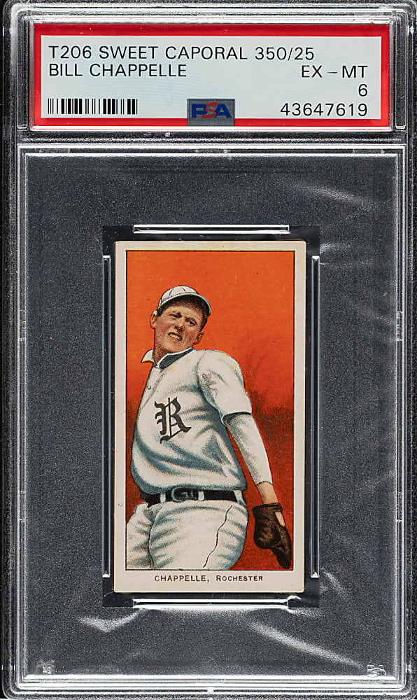 1909-1911 T206 White Border Bill Chappelle PSA EX-MT 6