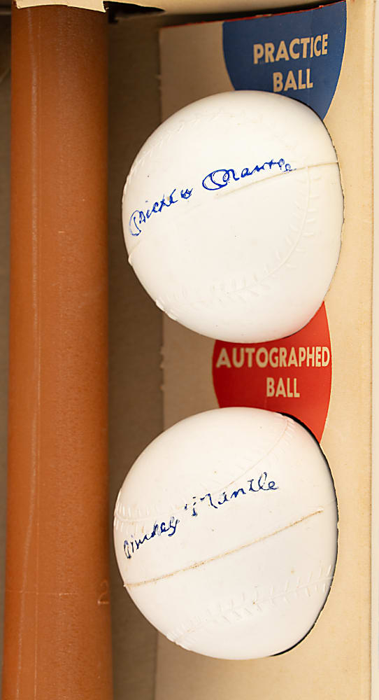 1962 Mickey Mantle Batter's Training Set