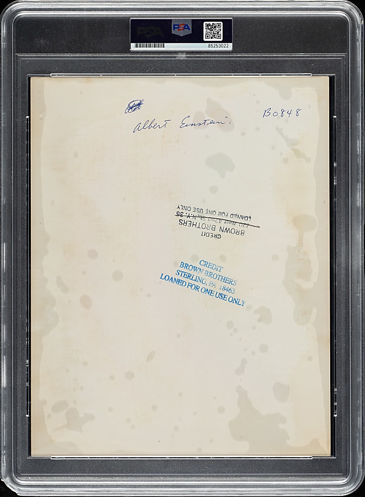 Circa 1950s Albert Einstein in 1951 Vintage Brown Brothers Photograph PSA/DNA Type IV - Image From Arthur Sasse