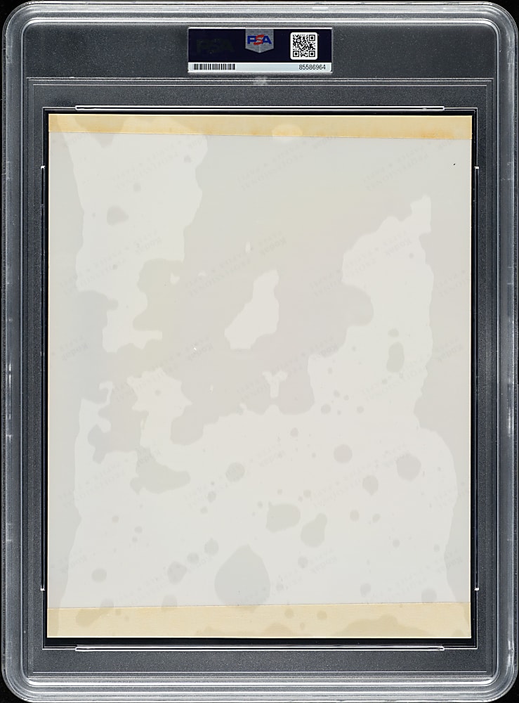 Circa 1992 Michael Jordan Original Photograph PSA/DNA Type I