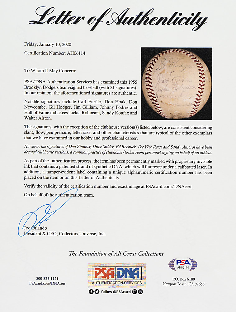 1955 Brooklyn Dodgers World Champions Team-Signed Baseball with Robinson, Koufax, and Hodges - PSA/DNA