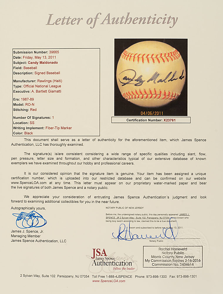 1980s and 1990s San Francisco Giants Single-Signed Baseball Collection (23) Including M. Williams, W. Clark, F. Robinson, and K. Mitchell