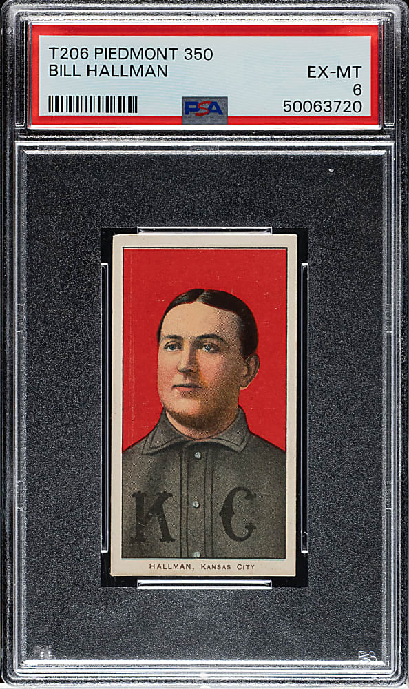 1909-1911 T206 White Border Bill Hallman PSA EX-MT 6
