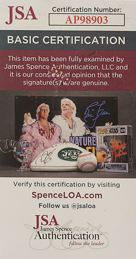 Steve Grogan Signed Football - JSA
