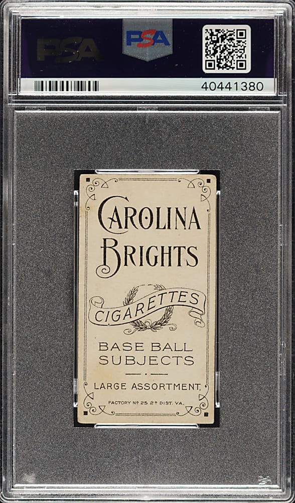 1909-1911 T206 White Border Emil Batch PSA VG 3 - Carolina Brights Back