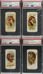 1888 N25 Allen & Ginter "Wild Animals of the World" PSA-Graded Collection (20)