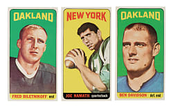 1965 Topps Football Complete Set (176)