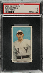 1909-1911 T206 White Border Buck Herzog New York PSA EX 5 - Sovereign 150 Back - 1 of 2 - Highest Graded!