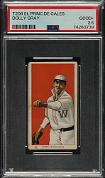 1909-1911 T206 White Border Dolly Gray PSA GOOD+ 2.5 - El Principe de Gales Back