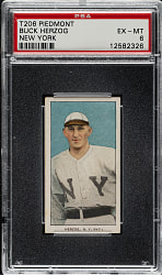 1909-1911 T206 White Border Buck Herzog New York PSA EX-MT 6