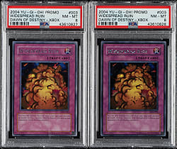 2004 Yu-Gi-Oh! Dawn of Destiny Promo #003 Widespread Ruin PSA NM-MT 8 Pair