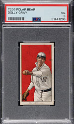 1909-1911 T206 White Border Dolly Gray PSA VG 3 - Polar Bear Back