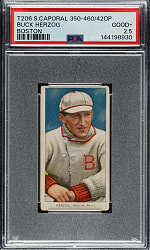 1909-1911 T206 White Border Buck Herzog Boston PSA GOOD+ 2.5