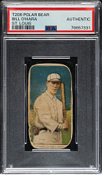 1909-1911 T206 White Border Bill O'Hara St. Louis Variation PSA Authentic - Polar Bear Back