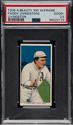 1909-1911 T206 White Border Paddy Livingstone PSA GOOD+ 2.5 - American Beauty 350 Back