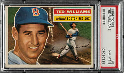 1956 Topps #5 Ted Williams White Back PSA NM-MT 8