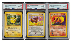 1999 Pokemon Jungle PSA GEM MINT 10 Collection (13)