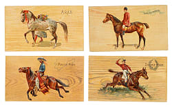 1892 N101 Duke "Breeds of Horses" Complete Set (25)