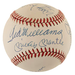 500 Home Run Club Signed Baseball with 11 Signatures Including Mickey Mantle and Ted Williams - JSA