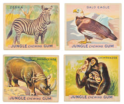 Circa 1934 R78 World Wide Gum (Canadian Goudey) "Jungle Gum" Complete Set (48) Plus Wrapper