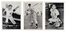 1956 New York Yankees Photographs Near-Complete Set (23/24) Plus Original Envelope