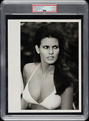 Circa 1967 Raquel Welch Original 20th Century Fox Photograph PSA/DNA Type I