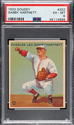 1933 R319 Goudey #202 Gabby Hartnett PSA EX-MT 6