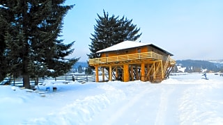 Casuta din copac Cocosul de munte