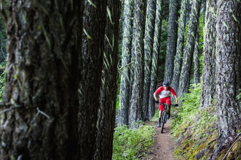 Specialized bike rider in a forest setting Specialized bike rider in a forest setting
