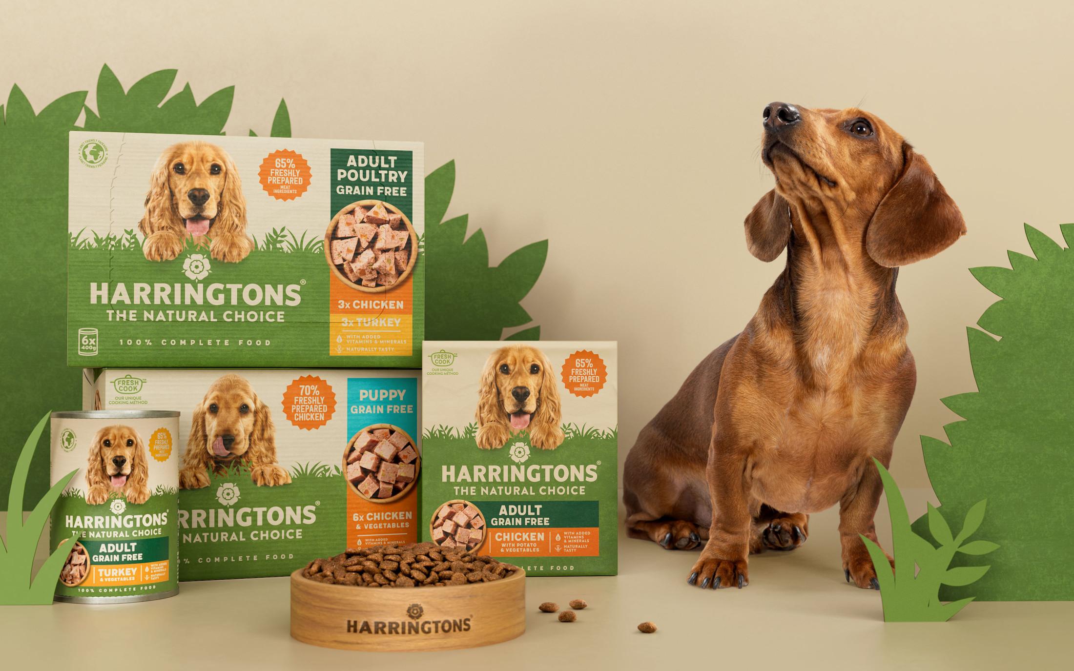 4 Harringtons CS Dog Scene V2