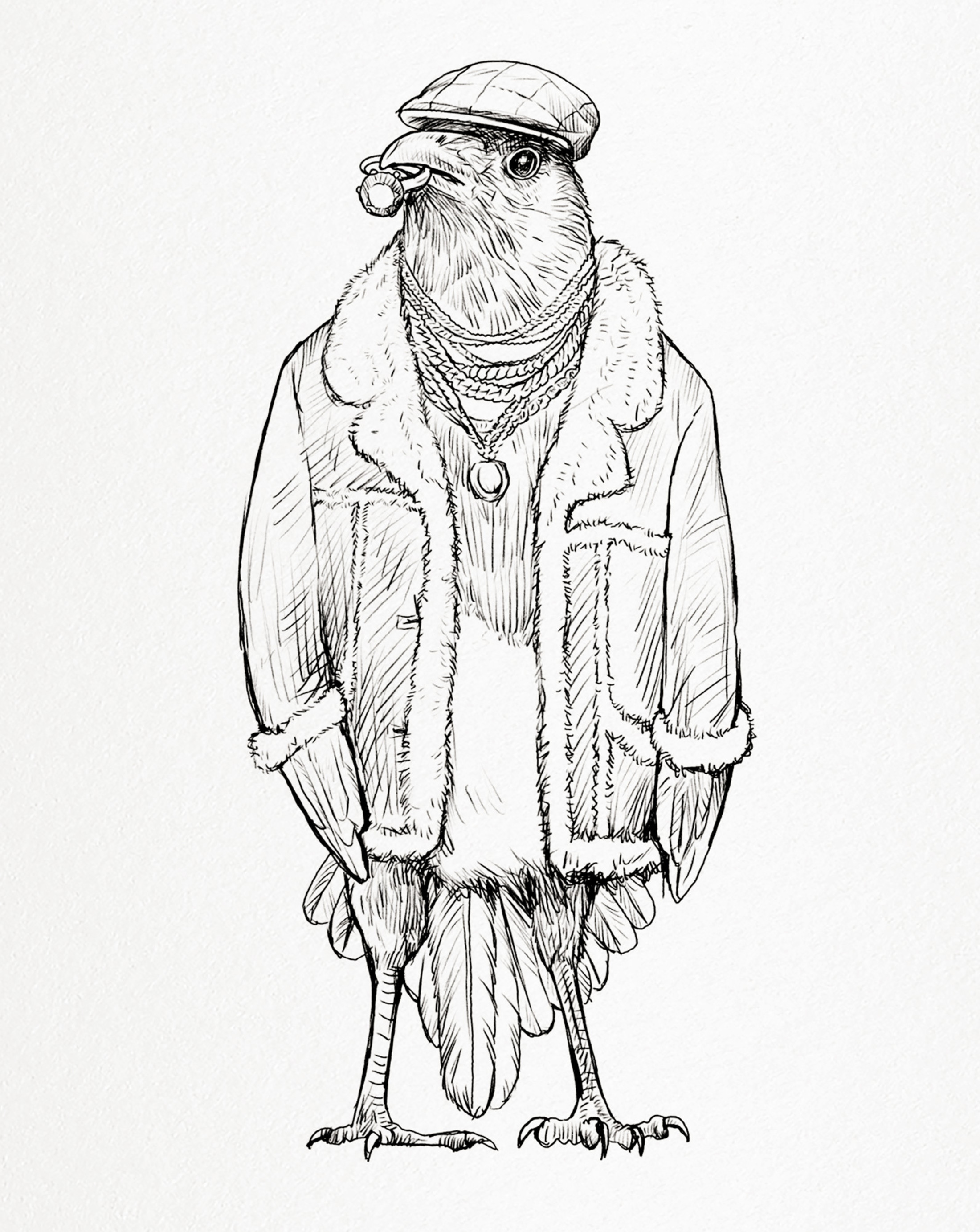 Badger Blog 3 Divider Image 02