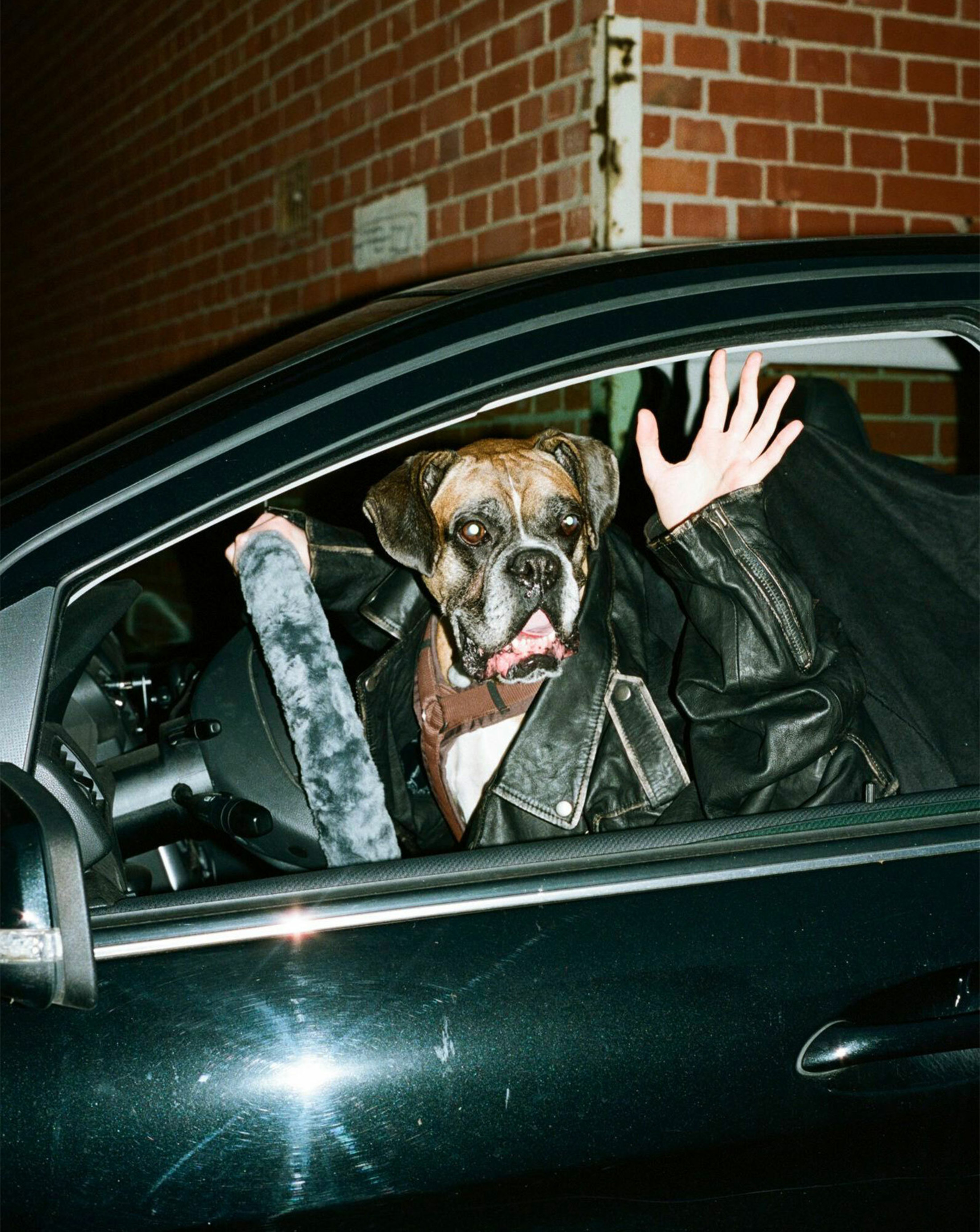 Image © Daniel Gebhart de Koekkoek, 'Doggystyle'