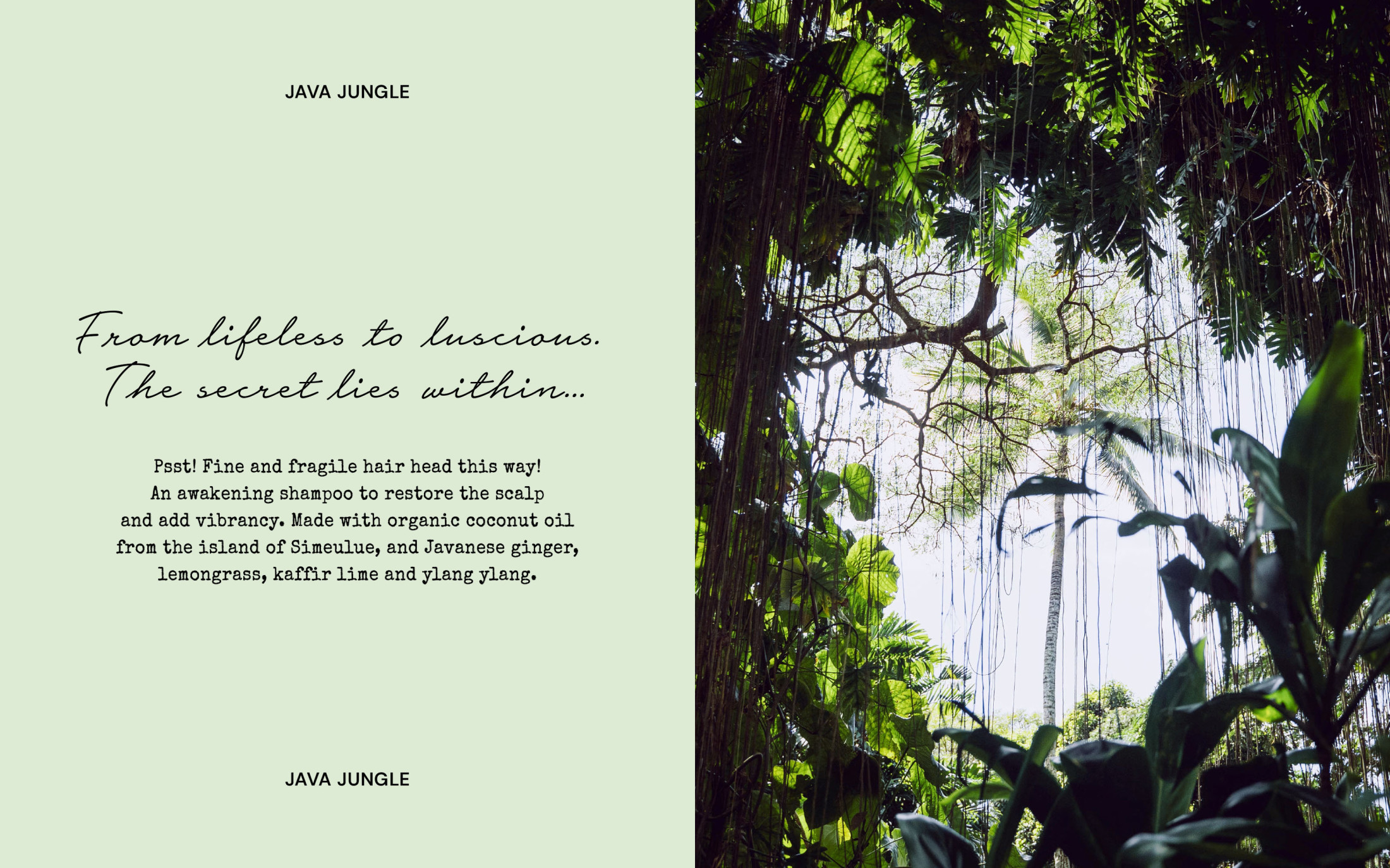 Postcard CS 3200x2000 0002 Postcard CS Plan Complete