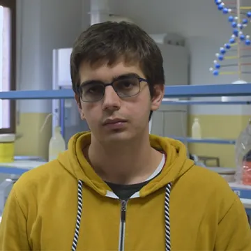 Alex Fantini