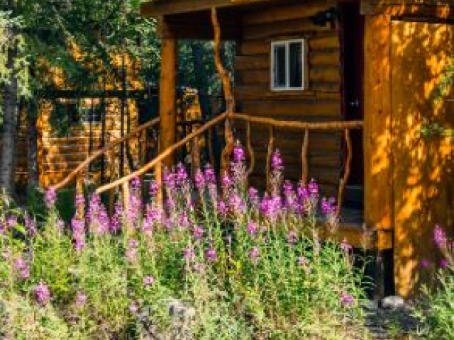 Razorback Cabin