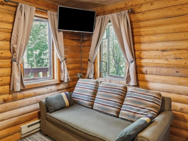 Standard King with Sleeper Sofa Grizzly Cabin