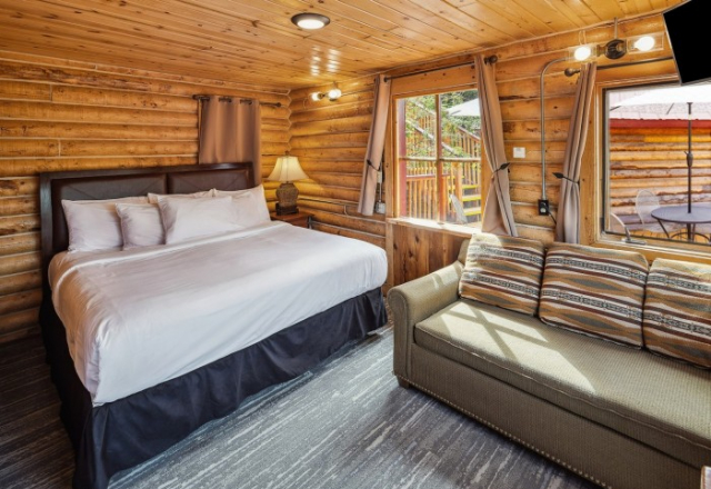 Deluxe King with Sleeper Sofa Dall Suite